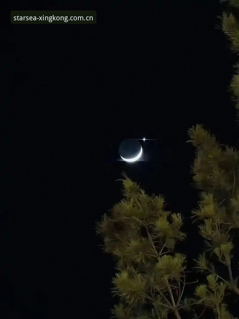 星空体育实战玩家的真心话：一位老用户对XINGKONG星空直播对比评测的使用心路