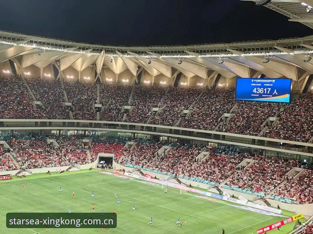 星空体育2025纪念版深度解析：为什么数据投注站成了替代玩家的新选择？