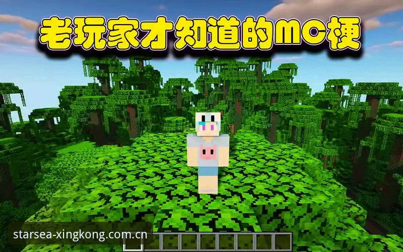 星空体育老玩家才知道的内幕：XINGKONG星空平台替代推荐实战经验分享